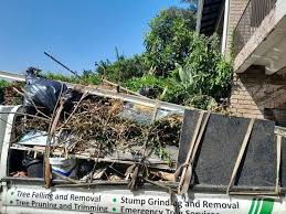 Best Shed Removal  in Agler Estates, FL